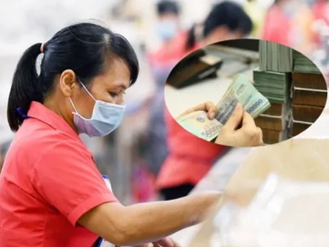 Trường hợp nào bị tạm dừng lương hưu?