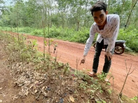 Đắk Lắk: Khởi tố nam thanh niên dùng xăng thiêu sống cháu bé, quá trình gây án gây căm phẫn