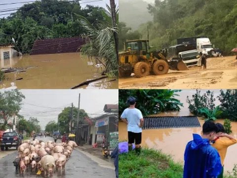 CHÙM ẢNH: Nghệ An nước ngập chạm nóc nhà, người dân nháo nhác di dời vật nuôi, tìm kiếm 2 người mất tích