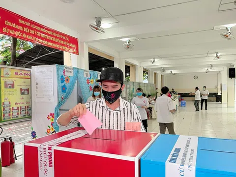 Nghệ sĩ Việt nô nức đi bầu cử