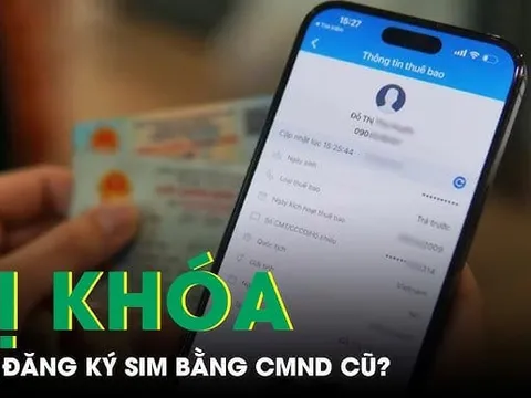 Thuê bao chính chủ vẫn có thể bị khóa SIM, thu hồi số điện thoại, vì sao?