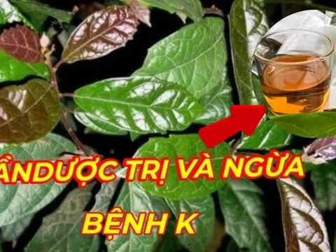 4 loại nước ‘khắc tinh’ của K, nguyên liệu quá rẻ, có sẵn trong vườn