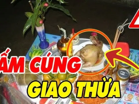 Chọn gà cúng ông bà ta chỉ dâng gà trống không chọn gà mái, lý do là gì?