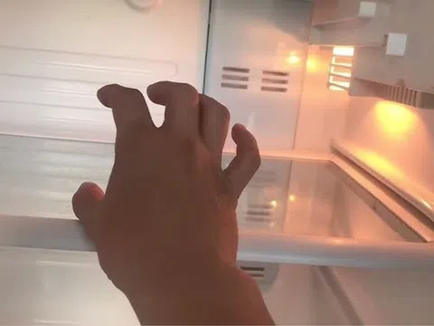 Vì sao tủ lạnh chỉ có đèn ở ngăn mát, ngăn đá thì tối om?
