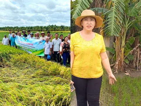 Trồng loại cây biết ‘ngả theo gió’, nữ nông dân Tiền Giang bỏ túi 3 tỉ đồng mỗi năm