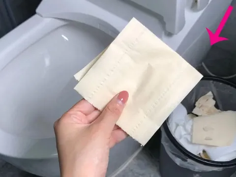 Vì sao người Nhật không bao giờ vứt giấy vệ sinh vào thùng rác?
