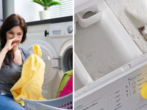 Máy giặt giặt quần áo không sạch, có mùi hôi: Xem ngay bộ phận nhỏ này trên máy