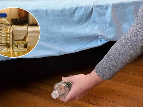Vì sao sau khi nhận phòng khách sạn, phải ném một chai nước vào gầm giường?