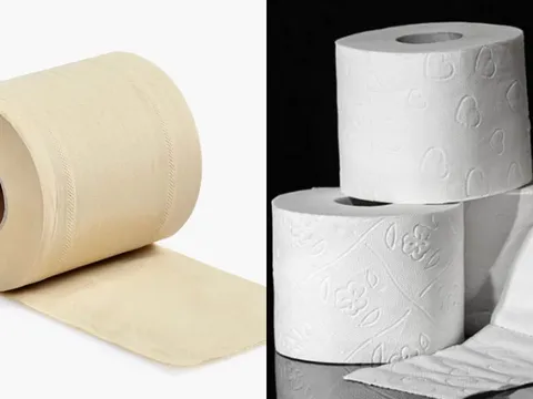 Mua giấy vệ sinh nên chọn loại màu trắng hay màu vàng, loại nào tốt hơn?