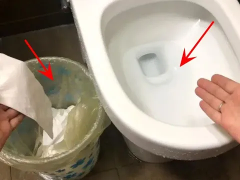 Tại sao người Nhật không bao giờ vứt giấy vệ sinh vào thùng rác? Việt Nam lại luôn nhắc "Hãy vứt giấy vào thùng"