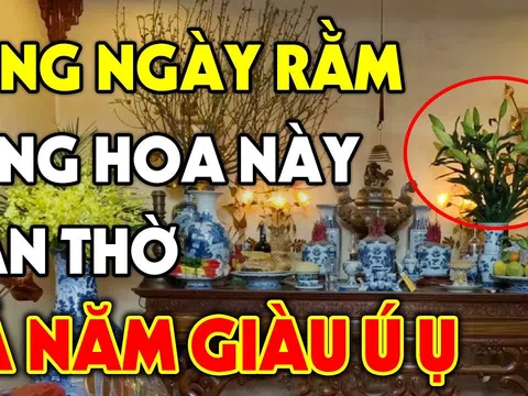 Chọn hoa cúng Rằm, 3, 5 hay 7 bông mới hút lộc: Đây là con số mang lại may mắn