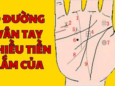 Tổ Tiên nói: 9 đường vân tay nhiều tiền lắm của, phú quý đuổi theo ầm ầm