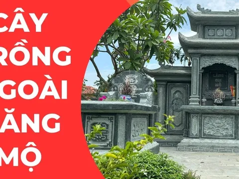 3 cây không trồng ngoài mộ, 4 cây không mọc trong nhà, là những cây nào?