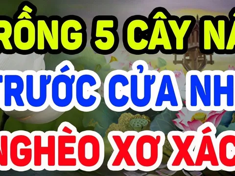 Tổ Tiên nói: 'Trong nhà có 5 loại cây cảnh, hoa tươi người héo, tuyệt đối đừng trồng'