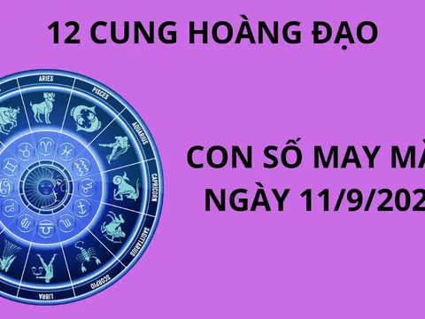 Tử vi ngày 11/9, những con số may mắn số đẹp cho 12 cung hoàng đạo, chọn đúng sẽ giàu to