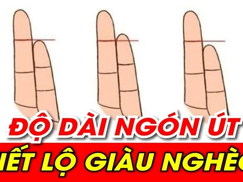 Thầy tử vi chỉ rõ: Nhìn độ dài ngón út biết tương lai giàu sang hay nghèo hèn mạt kiếp, chuẩn hơn nhìn mặt