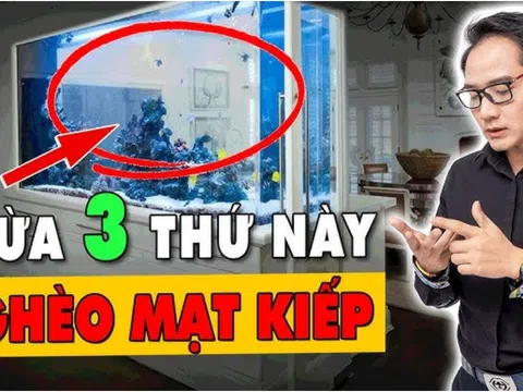 Trong nhà có quá nhiều 3 thứ này càng nghèo: Đó là 3 thứ gì?