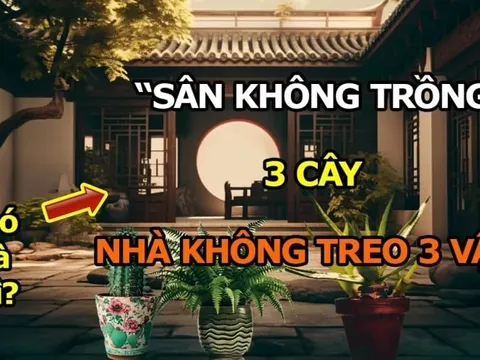 3 cây trồng ngoài sân mất của, 3 vật treo trong nhà tiền ra đi hết, là cây gì- vật gì?