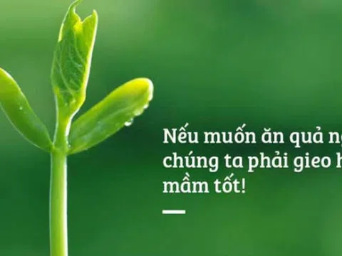 Đừng làm 7 điều này nếu không muốn bị quả báo