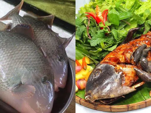 Loại cá có hương vị ‘siêu phẩm’, ăn là mê, 500.000 đồng/kg vẫn cháy hàng