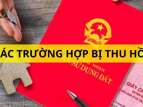 Từ 1/2025, những loại sổ đỏ này sẽ bị thu hồi, người dân cần nắm bắt ngay