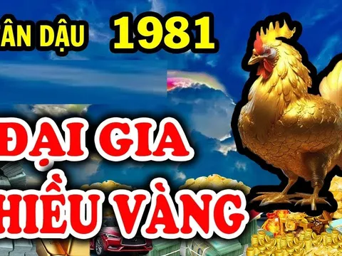 Liên tiếp 5 ngày tới (10/10), 3 con giáp 'ăn đậm' lộc trời, cuộc đời sang trang