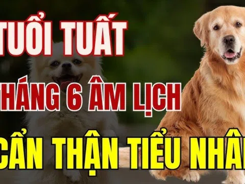 4 tháng sinh “khốn khổ nhất” đối với người tuổi Tuất, giàu có khó đến tay