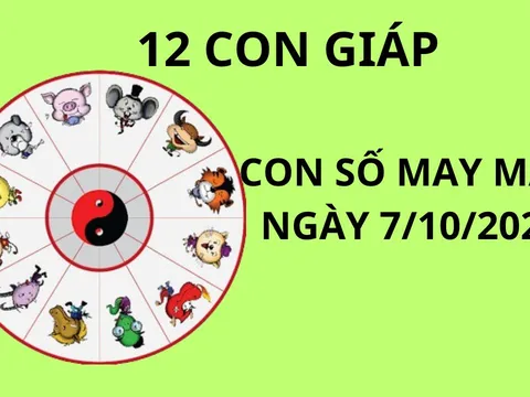 Tử vi ngày 7/10, chọn con số may mắn rước tài lộc cho 12 con giáp khởi sắc giàu sang