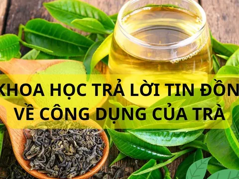 Uống trà hay không uống trà sẽ sống thọ hơn? Khoa học đã nghiên cứu và cho câu trả lời bất ngờ