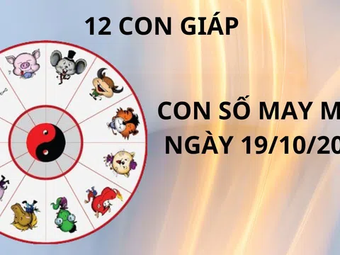 Tử vi ngày 19/10, thần tài chỉ điểm con số may mắn cho 12 con giáp thuận lợi phất lên trông thấy