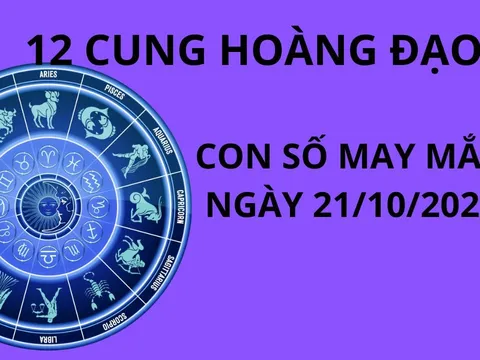 Tử vi ngày 21/10, con số may mắn phát tài phát lộc cho 12 cung hoàng đạo một ngày tốt lành