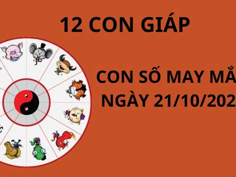 Tử vi ngày 21/10, con số may mắn số đẹp tài lộc giúp 12 con giáp thuận lợi thăng tiến phát tài