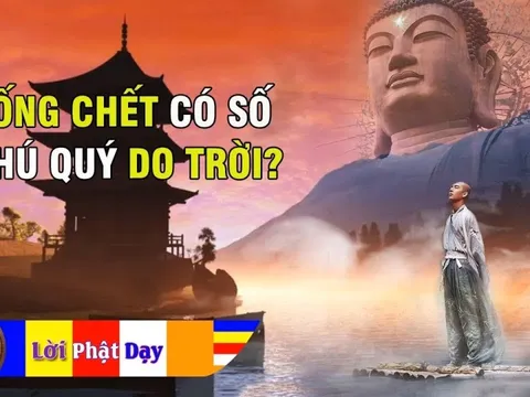 Phật dạy: 'Sống chết có số, phú quý do trời', vế sau ai biết được sống mới an yên