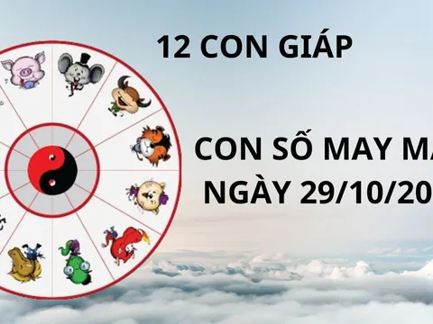 Tử vi ngày 29/10, con số may mắn giúp khai mở kho vàng tài lộc mang lại niềm vui cho 12 con giáp