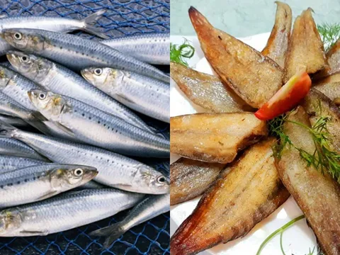 Đừng bỏ qua loại cá 'siêu thực phẩm' này: Giàu omega-3, tốt cho tim mạch, dễ tìm ngay tại Việt Nam