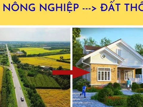 Trường hợp đất nông nghiệp nào được chuyển đổi sang đất ở?