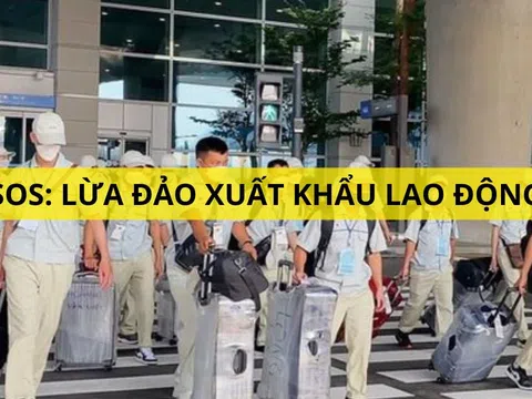 Cảnh báo khẩn cấp từ Bộ LĐTBXH: Người muốn đi xuất khẩu lao động đọc ngay thông tin này kẻo mất tiền oan