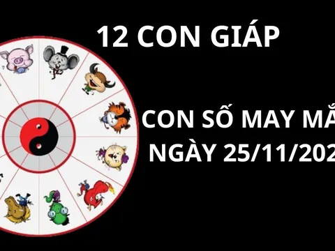 Tử vi ngày 25/11, con số may mắn cho 12 con giáp gặp được lộc của bà cô tổ để thuận lợi phát tài