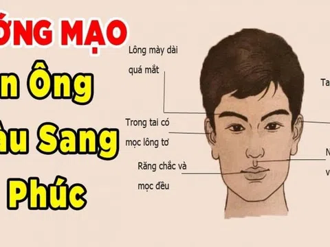 Tướng đàn ông giàu có xuất chúng: Đặc biệt nét tướng thứ 2