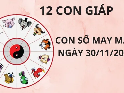 Tử vi ngày 30/11, con số may mắn cho 12 con giáp thừa thắng xông lên hứng trọn lộc Thánh phát tài giàu có