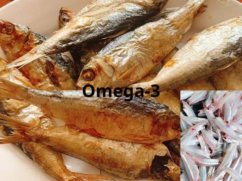 3 loại cá rẻ tiền ít lo "ngậm" thủy ngân bán đầy chợ Việt, lại rất giàu omega-3 không mua thật tiếc