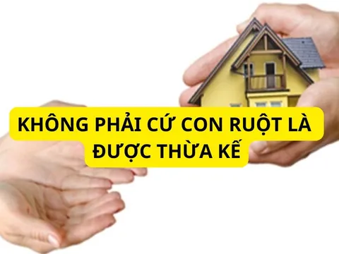 7 trường hợp con ruột cũng không được thừa kế tài sản của cha mẹ, ai cũng phải biết để tránh kẻo thiệt