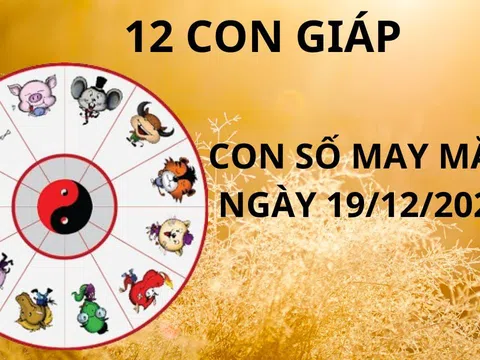 Tử vi ngày 19/12 con số may mắn Thần tài xả kho lộc cho 12 con giáp hứng vàng hứng bạc