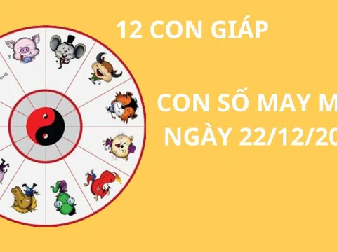 Tử vi ngày 22/12 con số may mắn Phật bà ban tặng giúp 12 con giáp cuối tháng về đích thành công, giàu có