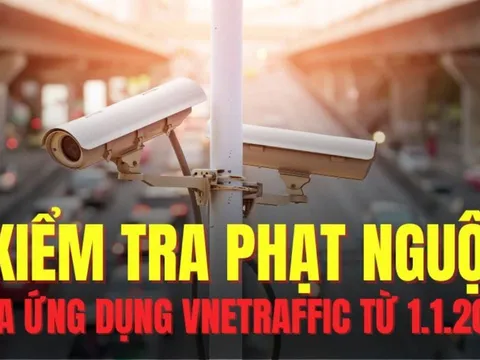 Cách xem phạt nguội qua VNeTraffic: Cách nộp phạt nguội online nhanh chóng nhất