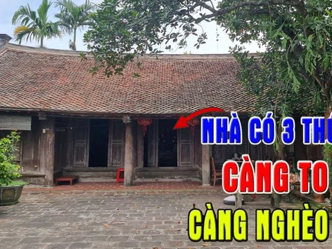 Đừng tưởng to là tốt: Trong nhà 3 thứ này càng tô càng hao tài, tán của nên tránh xa, đó là gì?