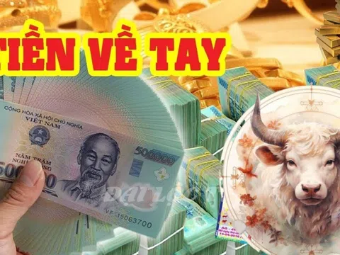 Chúc mừng 3 tuổi ‘sa chân’ vào núi tiền, vùng vẫy trong biển bạc, ăn tết Ất Tỵ cực to