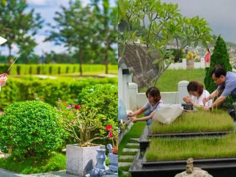 Cuối năm đi tảo mộ nhất định phải nhớ điều này kẻo rước họa về nhà, năm mới xui rủi khó giàu được