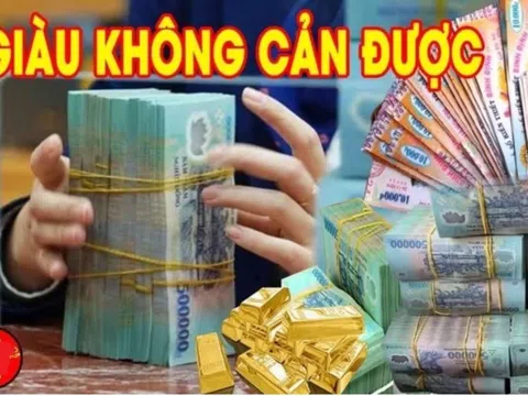 100 ngày tới: 3 tuổi cá 'vươn mình' hứng lộc, làm ăn Đại Cát, đặc biệt vị trí số 2