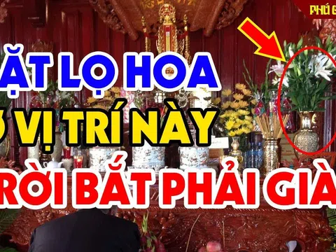 Lọ hoa đặt bên trái hay bên phải mới đúng: Đặt vị trí này mới hợp phong thuỷ nhất